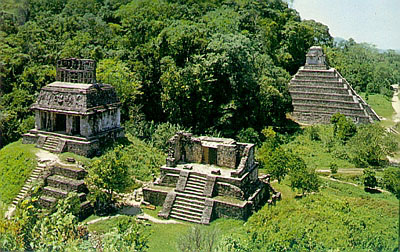 Palenque In Chiapas Mexico
