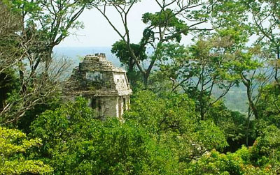 Palenque In Chiapas Mexico